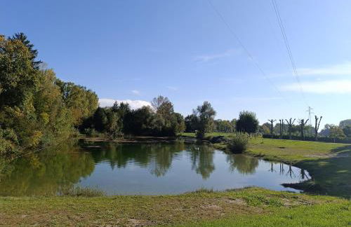 Le Guiness proche Europa Park et Rulantica - Foto 9