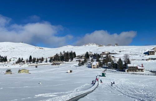 La casa nel bosco-Val Granara guesthouse - Foto 42