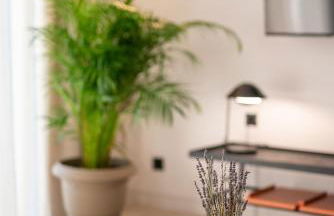 Memphis Suites Kos Center - Photo 70