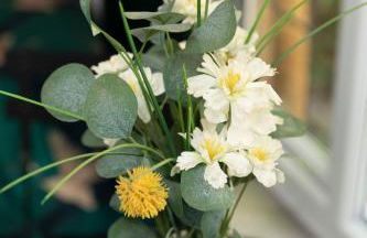 Jungle Lodge - Foto 15