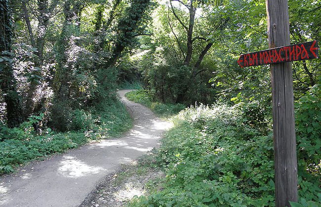 Villa Kalin - Photo 20