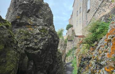 Artist Flat Saint Flour - Foto 47