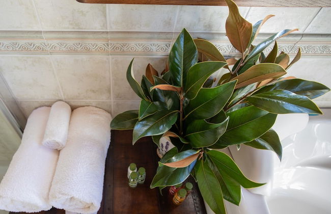 Casale Isidora - Foto 40