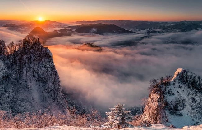 Jaworki Green Dream - Foto 56