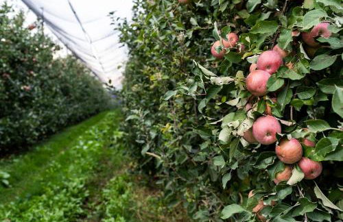 Hotel Agriturismo Al Luogo Del Giulio - Foto 103