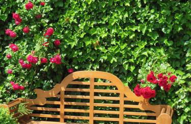 Ferienhof Wohler – Wohnung 2 - Foto 24