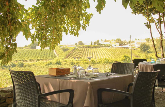 Tour de viñedos y bodegas por el Valle del Duero - Foto 8