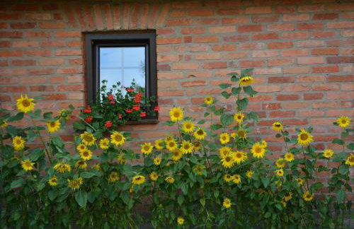 Agro Przy Kominku - Foto 16