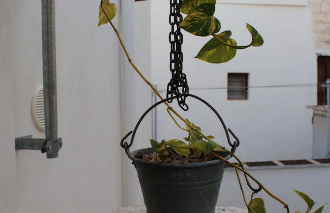 Terracielo Guest House - Foto 78