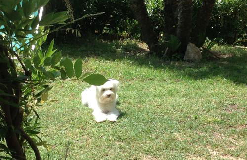 Belvedere Residenza Mediterranea - Foto 35