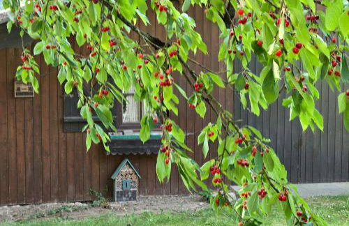 Exklusive Ferienwohnung Bad Salzschlirf - direkt am Waldrand - großer Garten kompett umzäunt - Hunde willkommen - 2 private Stellplätze - Foto 45