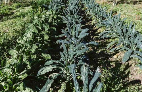 Agriturismo Il Canto delle rane - Photo 53