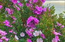 Recanto J&R - Foto 3