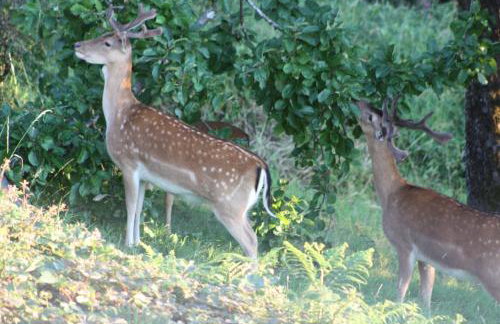 Sunnyview Annexe - Photo 37