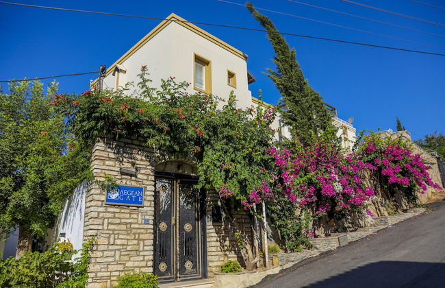 Aegean Gate Otel - Photo 21