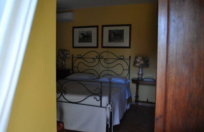 Podere L'Olmaia - Foto 5