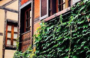 La Maison Rouge Au coeur historique de Riquewihr - Photo 1