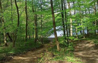 Domek pod Dębami Bogaczewo - Foto 46