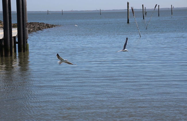 Ferienwohnung mit Sonnenterrasse in Dornumersiel - Foto 20