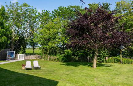 Ferienhof Schnurrum - Foto 55