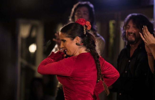 Jardines de Zoraya Flamenco Tablao - Photo 9