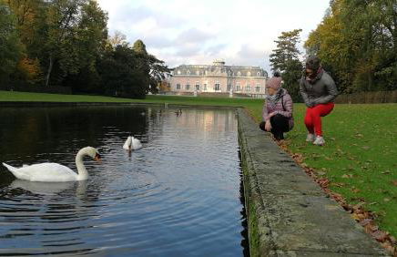 Pinienblick - Foto 20