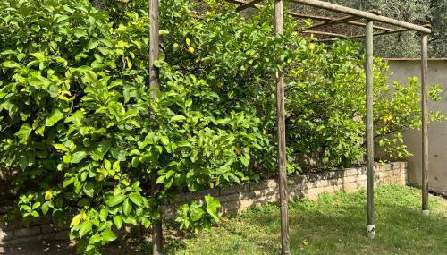 Villa dei Limoni - Foto 2, Garden