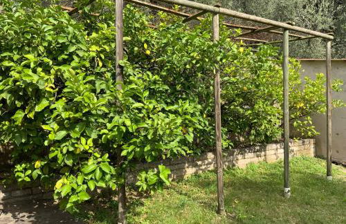 Villa dei Limoni - Foto 2