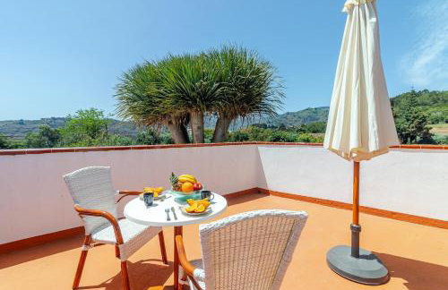 Vista Osorio - Foto 29