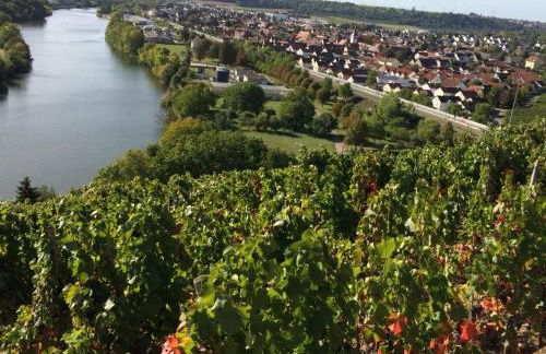 Weinbergblick - Foto 22