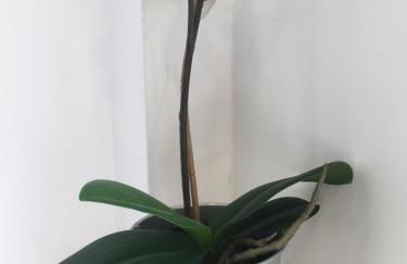 CA dúplex mar s'Estanyol de Migjorn - Foto 42