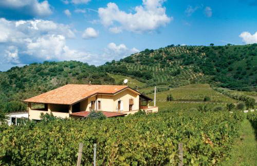 Antica Tindari - Foto 60