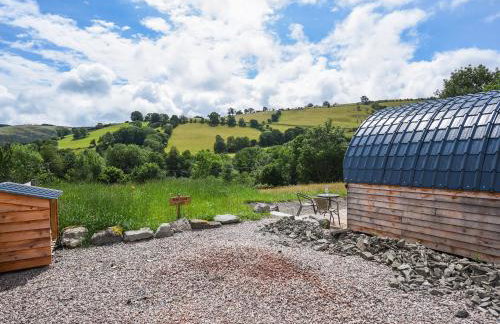 Barcud Coch - Uk44539 - Foto 16