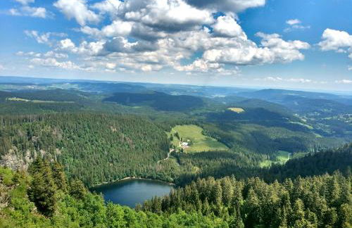 Ferienwohnung Seeblick Nr 2 5-Zimmerwohnung - Feldberg Bärental - Foto 24