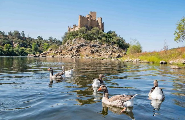 Visite privée des Templiers : Château de Tomar et Almourol - Photo 14