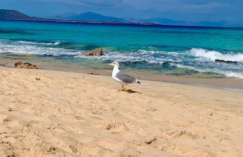 PAOLA Comfort Apartment - Photo 29