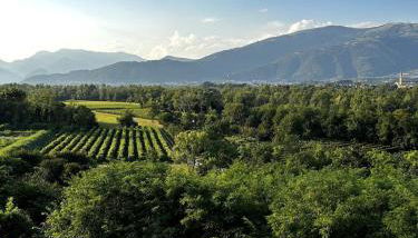 Borgo Guardiani House - Foto 2