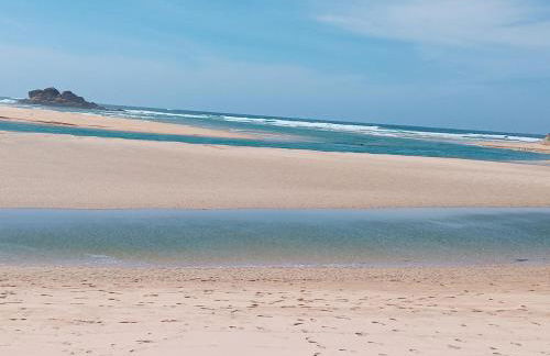 A PINTEGA DAS DUNAS - Foto 39