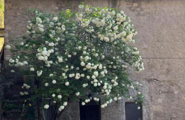 Borgo Il Monzone - Photo 14