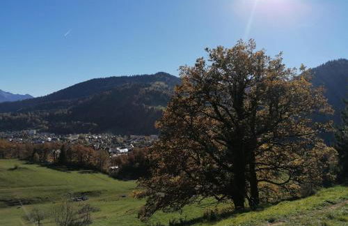 Landhaus Auf der Höh - Foto 30