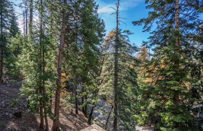 Timber Lodge Yosemite Enveloped in Nature! - Foto 29