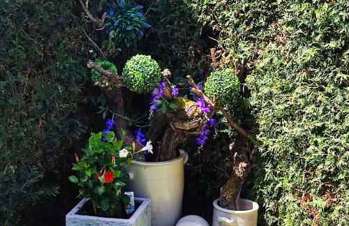 Ferienwohnungen Klaus u. Bärbel - Foto 54