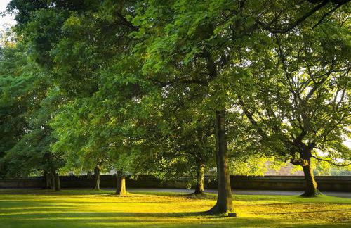 Castle View - Foto 25