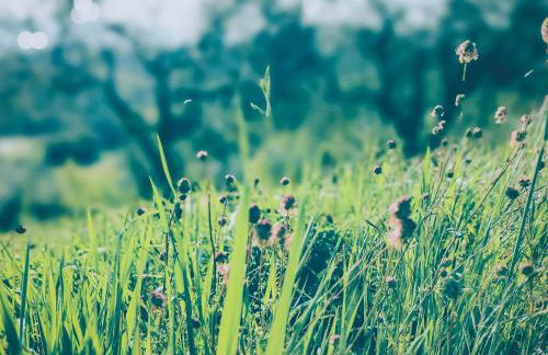 Villa Oliviana - Foto 73