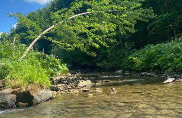 Pod Srebrzystym Świerkiem - Jacuzzi - Foto 39