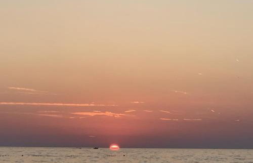 Apartments Milan - Photo 24