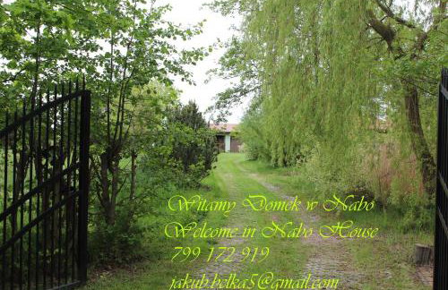 Domek w NABO - Foto 2