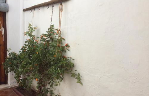 Ca Bienvenida - Foto 16