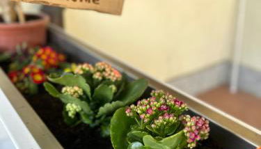 Miky’S home - Photo 3