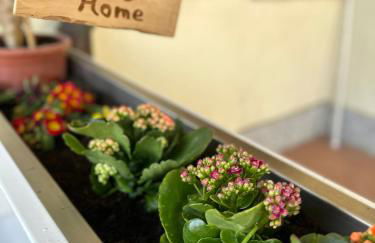 Miky’S home - Photo 3